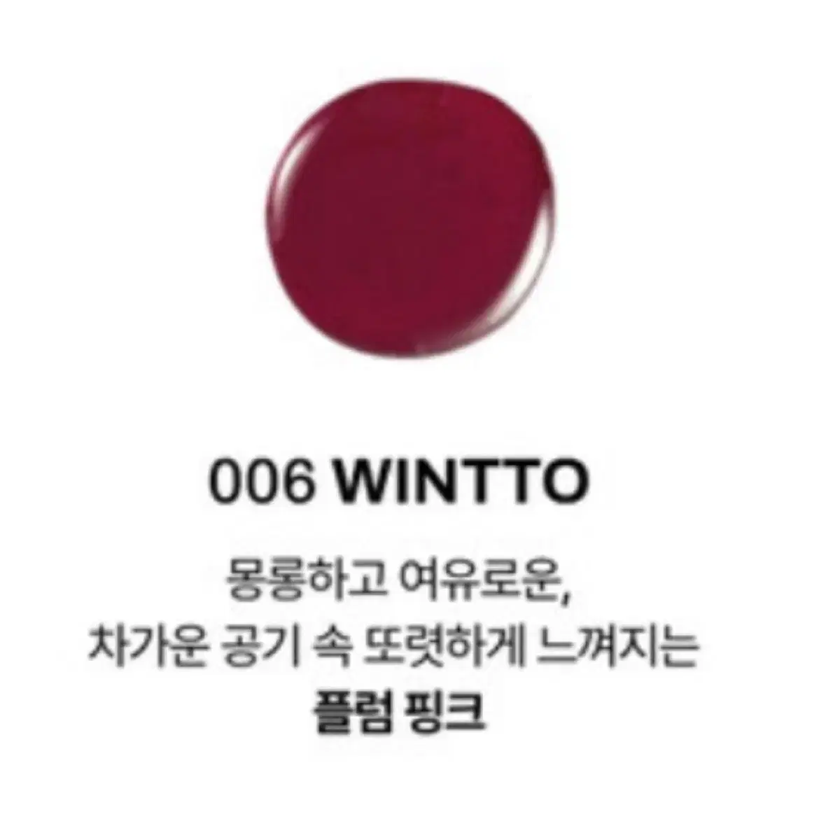 오아드 립티크 6호 006 WINTTO 윈토